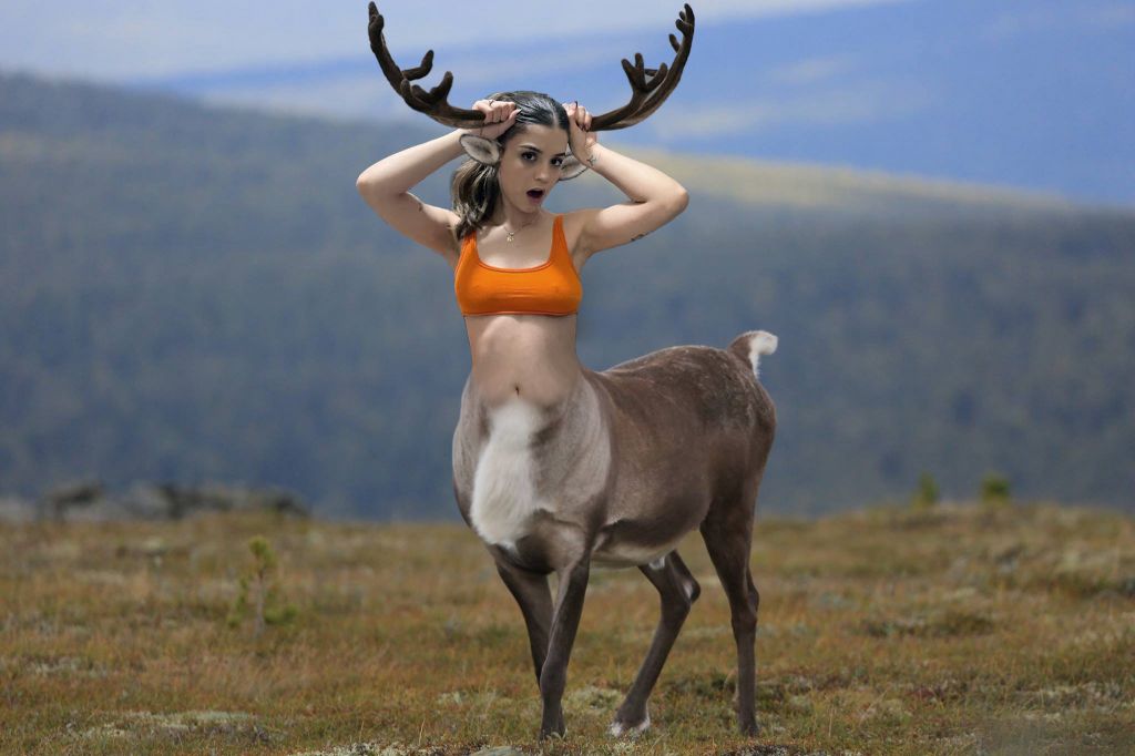 tfgirlreindeertaur.jpg